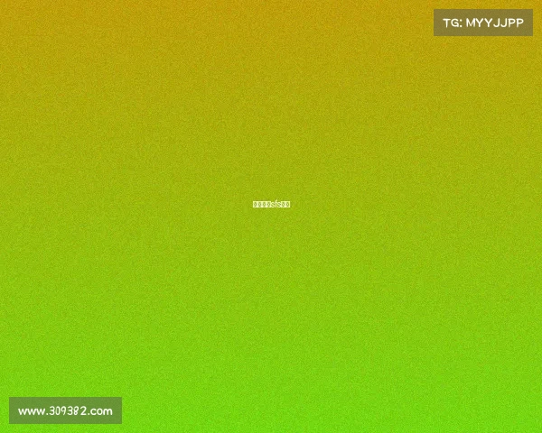 守望先锋sfs战队